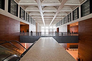 《铁拳8》全新预告 展示角色豹王